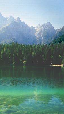 tarvi17.jpg (13665 byte)