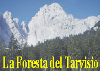 tarviicona.gif (15477 byte)