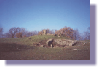 albani12media.gif (17415 byte)