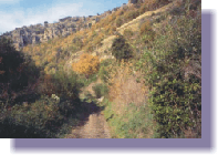 albani8media.gif (25143 byte)