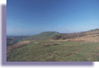 albani9media.gif (16080 byte)