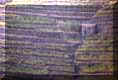 5terre7small.jpg (5725 byte)