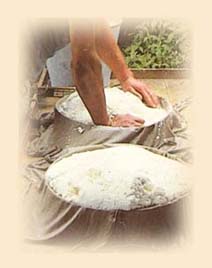 priula6sfondopiedi.JPG (11846 byte)