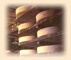 priula7bordopiedi.JPG (12542 byte)