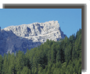 meravfunes1f.gif (21671 byte)