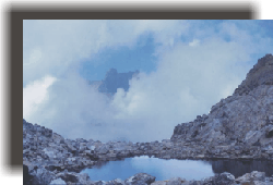 mar8.gif (29977 byte)