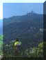 intornotorino22small.jpg (3566 byte)