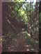 intornotorino23small.jpg (4780 byte)