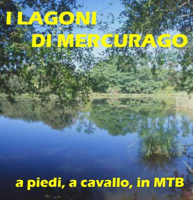 leggi l'intero articolo sui lagoni di mercurago