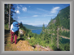 fiemme11.gif (31622 byte)