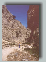 vallesanmartino.gif (26774 byte)